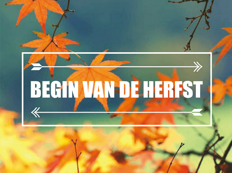 Zingende Dienst (Autumn) — Rode Hoed, Amsterdam